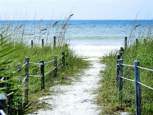 Sandy fenced pathway sourrounded by grass that leads to the beach